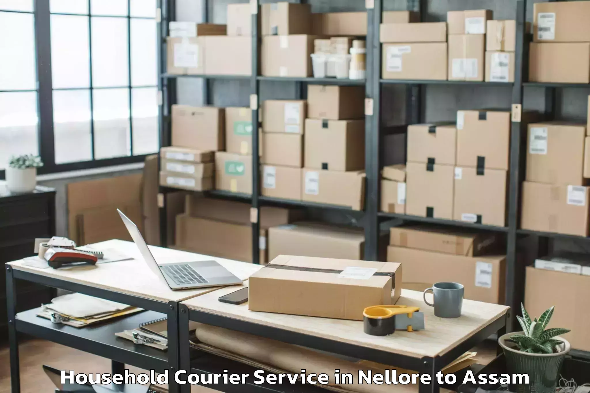 Trusted Nellore to Kharupatia Household Courier